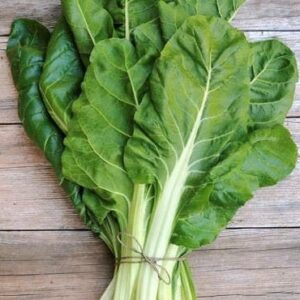 Jeunes cotes de blettes